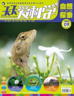 天天爱科学 20年9月号