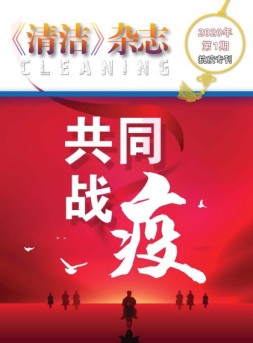清洁 20年第1期