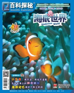 百科探秘·海底世界 20年9月号