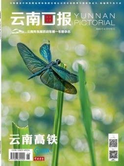 云南画报·云南旅游 20年9月中