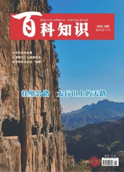 百科知识 20年9月下