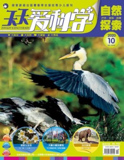 天天爱科学 20年10月号