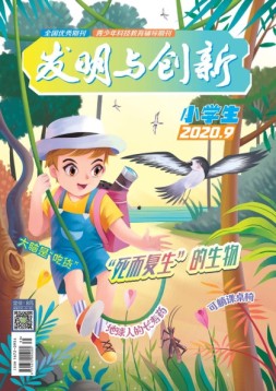发明与创新少儿天地 20年9月号