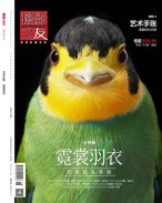 摄影之友 20年9月号