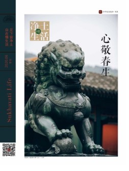 净土慢生活 20年6月