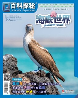 百科探秘·海底世界 20年10月号