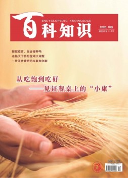 百科知识 20年10月下