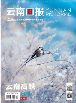 云南画报·云南旅游 20年10月中