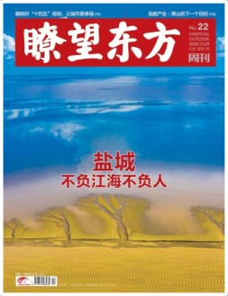 瞭望东方周刊 20年第22期