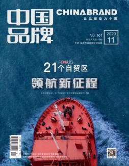中国品牌 20年11期