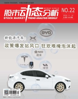 股市动态分析 20年第22期