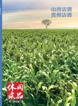 休闲读品·天下 20年第三辑（精华版