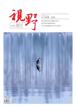 视野 20年第22期