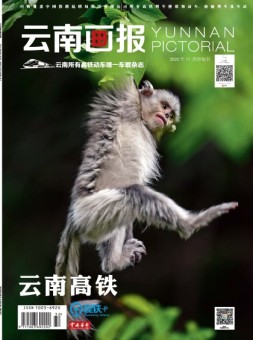 云南画报·云南旅游 20年11月中