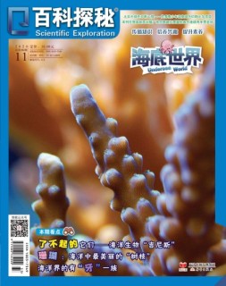 百科探秘·海底世界 20年11月号