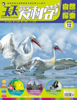 天天爱科学 20年12月号