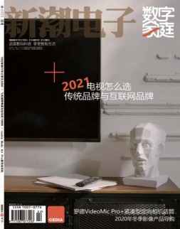 新潮电子 20年11月下