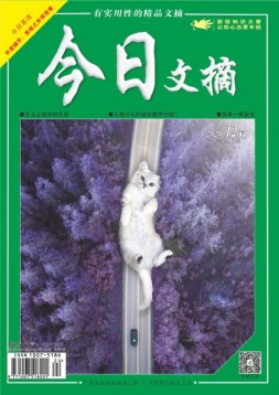 今日文摘 20年12月下