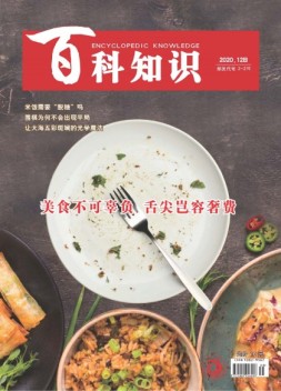 百科知识 20年12月下