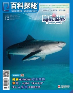 百科探秘·海底世界 20年12月号