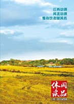 休闲读品·天下 20年第四辑（精华版