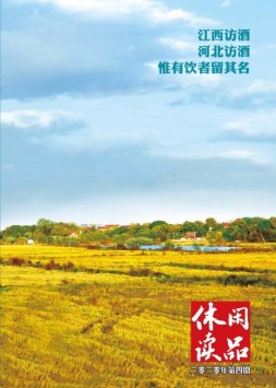 休闲读品·天下 20年第四辑（精华版