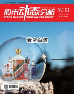 股市动态分析 21年第1期