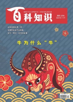 百科知识 21年1月上