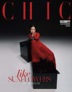 小资CHIC Accessories 20年11月号