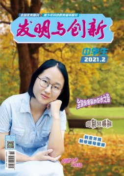 发明与创新中学时代 21年第2期