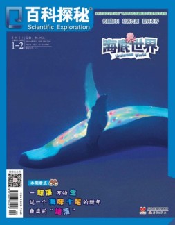 百科探秘·海底世界 21年1-2月号