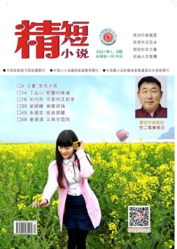 精短小说 21年第1-2期