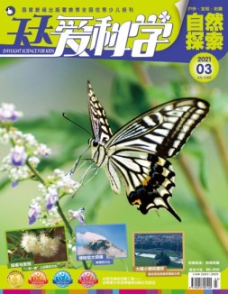天天爱科学 21年3月号