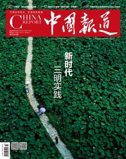 中国报道 21年第3期