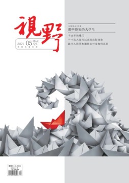 视野 21年第5期