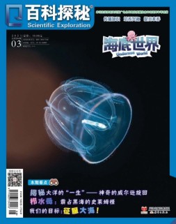 百科探秘·海底世界 21年3月号