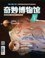 奇妙博物馆 21年3月号