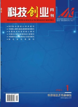 科技创业 21年第1期