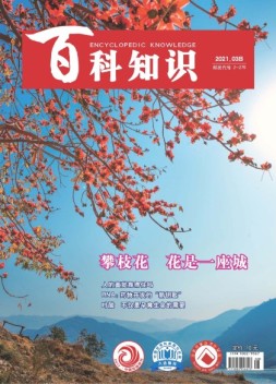 百科知识 21年3月下