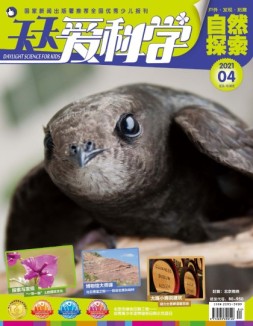 天天爱科学 21年4月号