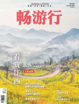 畅游行 21年4月号