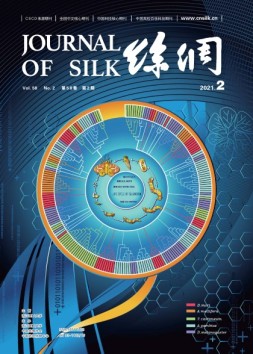 丝绸 21年2月号