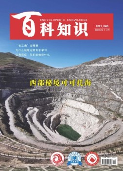 百科知识 21年4月下