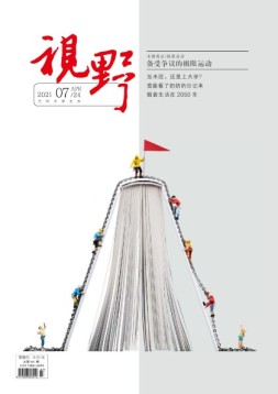 视野 21年第7期