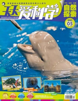 天天爱科学 21年5月号