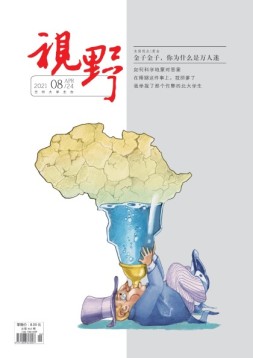 视野 21年第8期