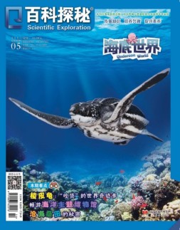百科探秘·海底世界 21年5月号