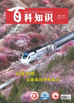 百科知识 21年5月上