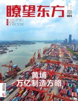 瞭望东方周刊 21年第11期