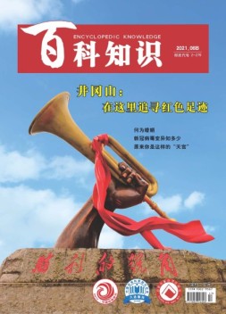 百科知识 21年6月下